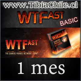 WTFast BASIC 1 mes