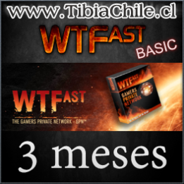 WTFast BASIC 3 meses