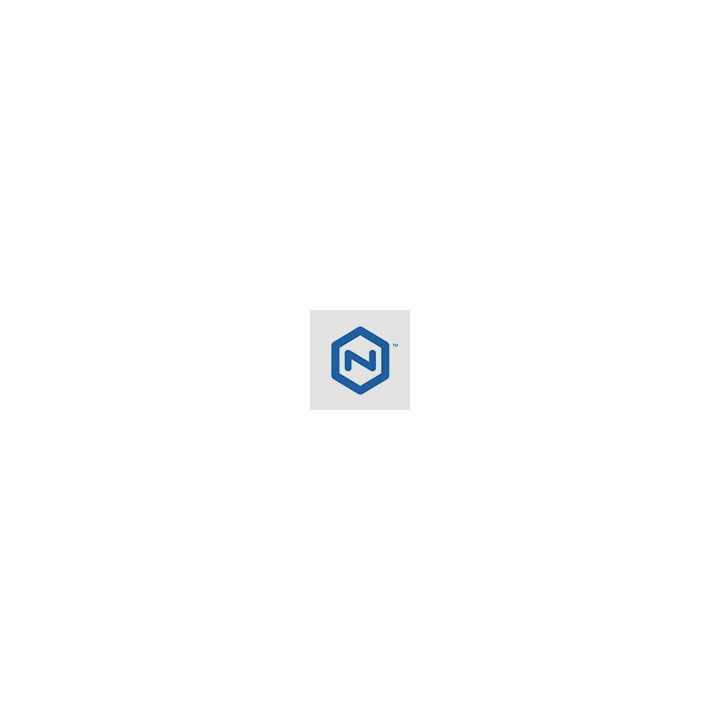 NCsoft NCoin 400